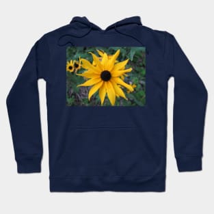 Blackeyed Susie Hoodie